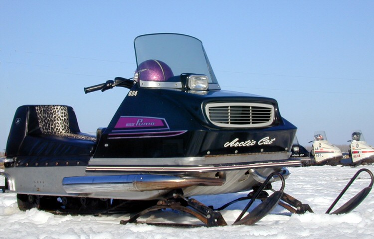 1970 arctic cat puma